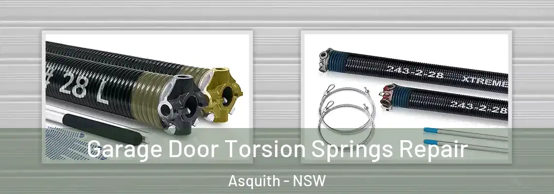 Garage Door Torsion Springs Repair Asquith - NSW