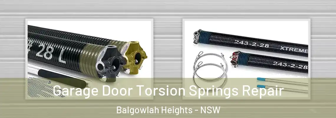 Garage Door Torsion Springs Repair Balgowlah Heights - NSW