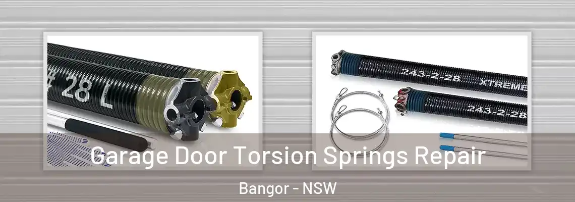 Garage Door Torsion Springs Repair Bangor - NSW