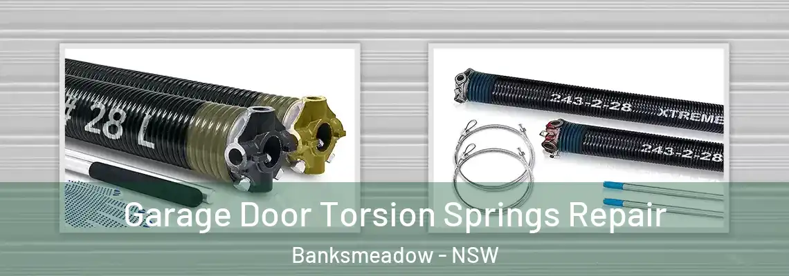 Garage Door Torsion Springs Repair Banksmeadow - NSW