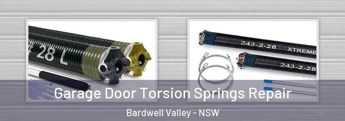 Garage Door Torsion Springs Repair Bardwell Valley - NSW