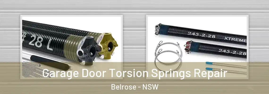 Garage Door Torsion Springs Repair Belrose - NSW