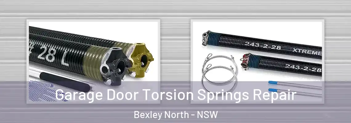  Garage Door Torsion Springs Repair Bexley North - NSW