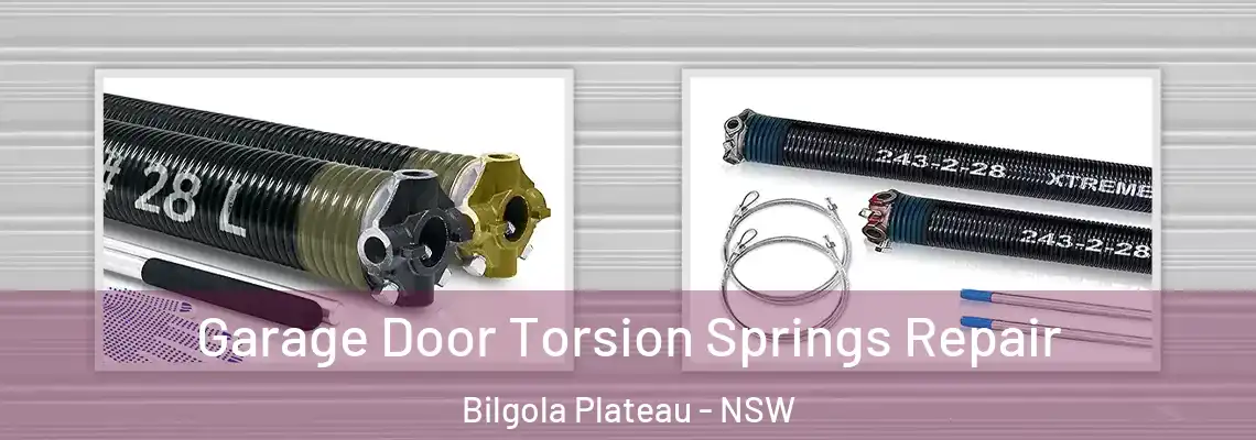 Garage Door Torsion Springs Repair Bilgola Plateau - NSW