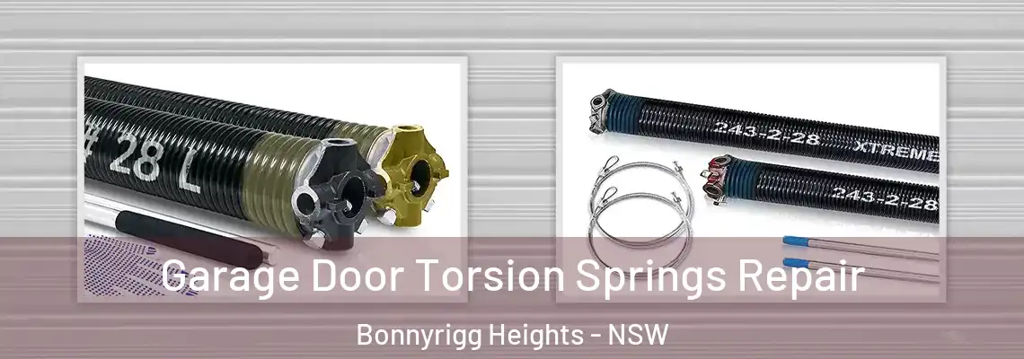 Garage Door Torsion Springs Repair Bonnyrigg Heights - NSW