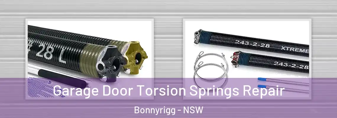 Garage Door Torsion Springs Repair Bonnyrigg - NSW