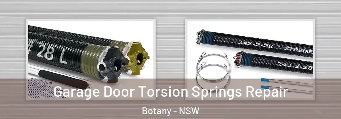 Garage Door Torsion Springs Repair Botany - NSW