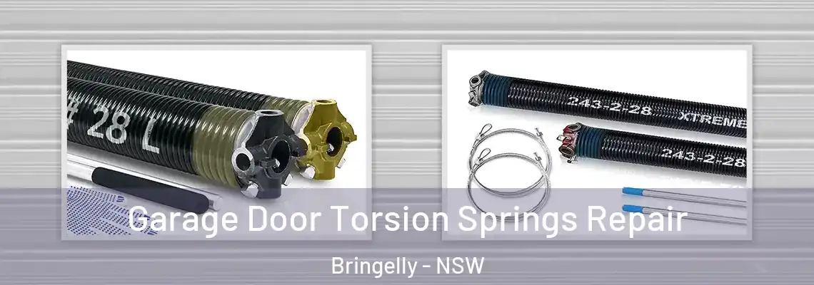 Garage Door Torsion Springs Repair Bringelly - NSW