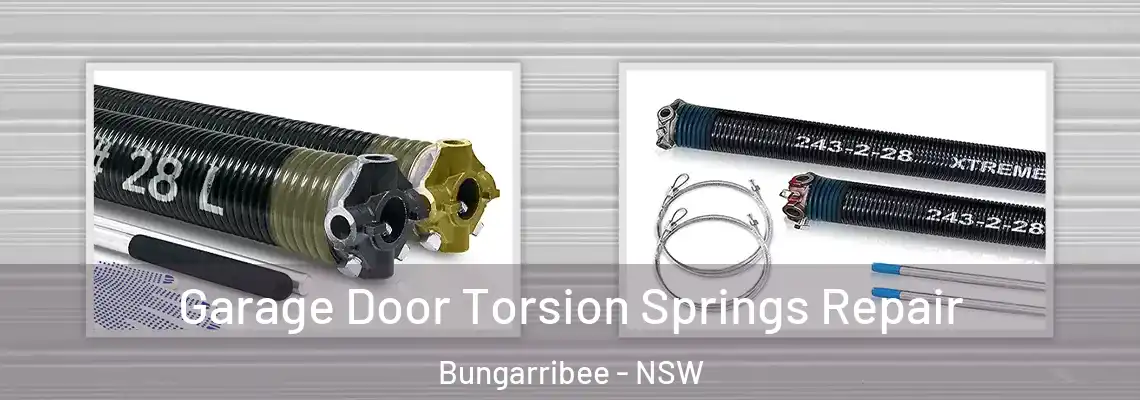  Garage Door Torsion Springs Repair Bungarribee - NSW