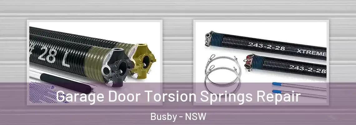 Garage Door Torsion Springs Repair Busby - NSW