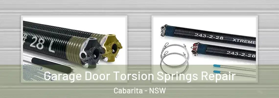 Garage Door Torsion Springs Repair Cabarita - NSW