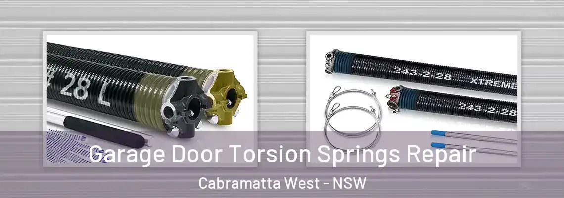 Garage Door Torsion Springs Repair Cabramatta West - NSW