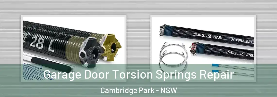  Garage Door Torsion Springs Repair Cambridge Park - NSW