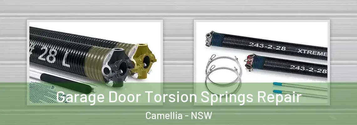 Garage Door Torsion Springs Repair Camellia - NSW