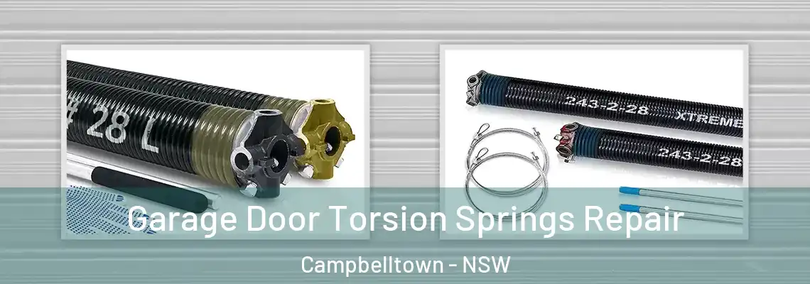 Garage Door Torsion Springs Repair Campbelltown - NSW