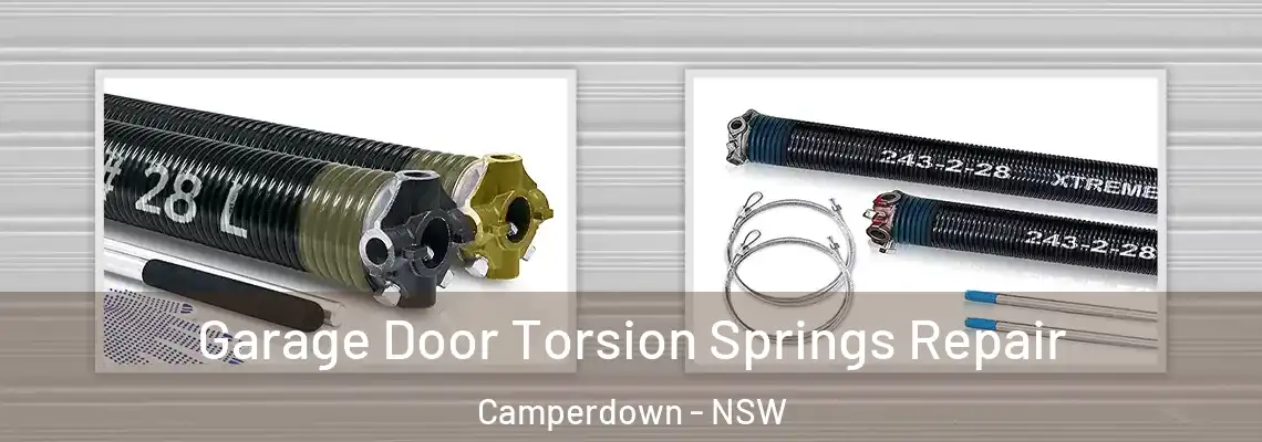Garage Door Torsion Springs Repair Camperdown - NSW