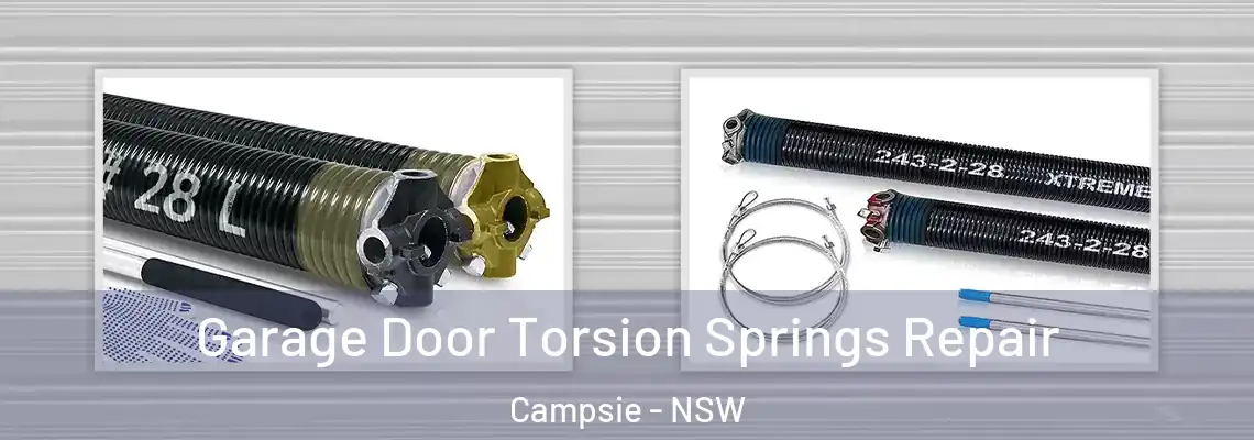 Garage Door Torsion Springs Repair Campsie - NSW