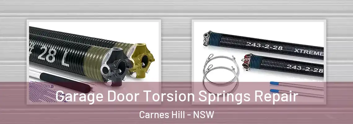 Garage Door Torsion Springs Repair Carnes Hill - NSW