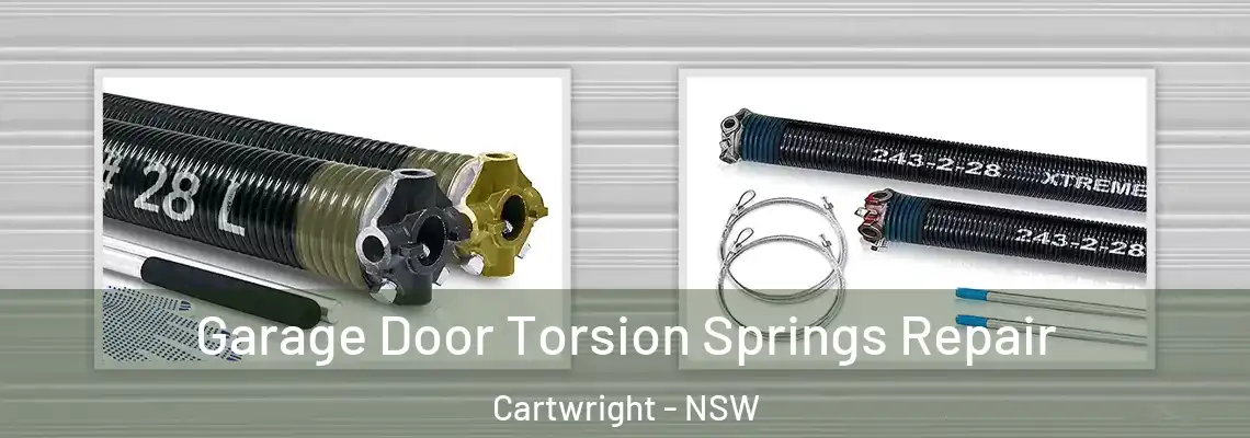 Garage Door Torsion Springs Repair Cartwright - NSW