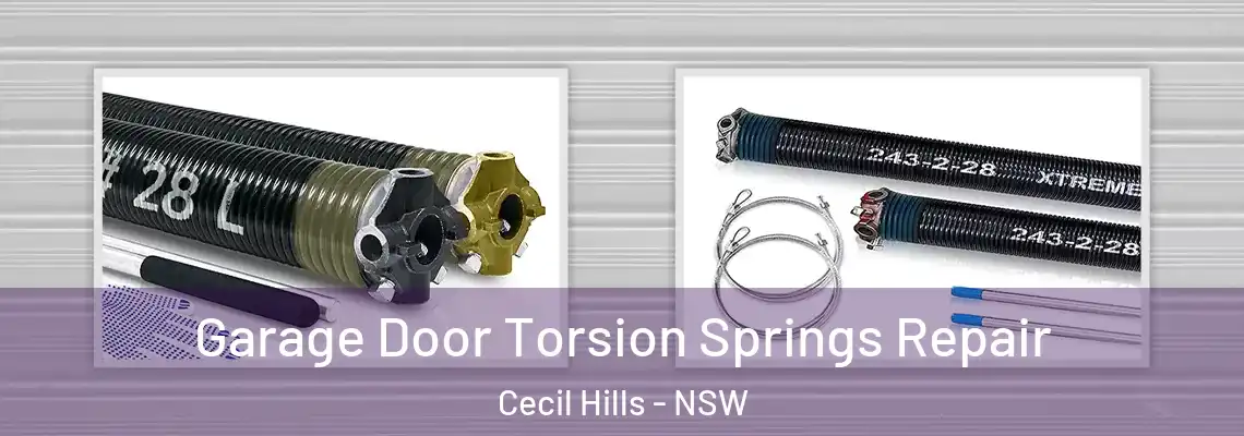 Garage Door Torsion Springs Repair Cecil Hills - NSW