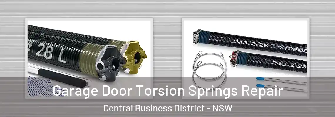  Garage Door Torsion Springs Repair Central Business District - NSW