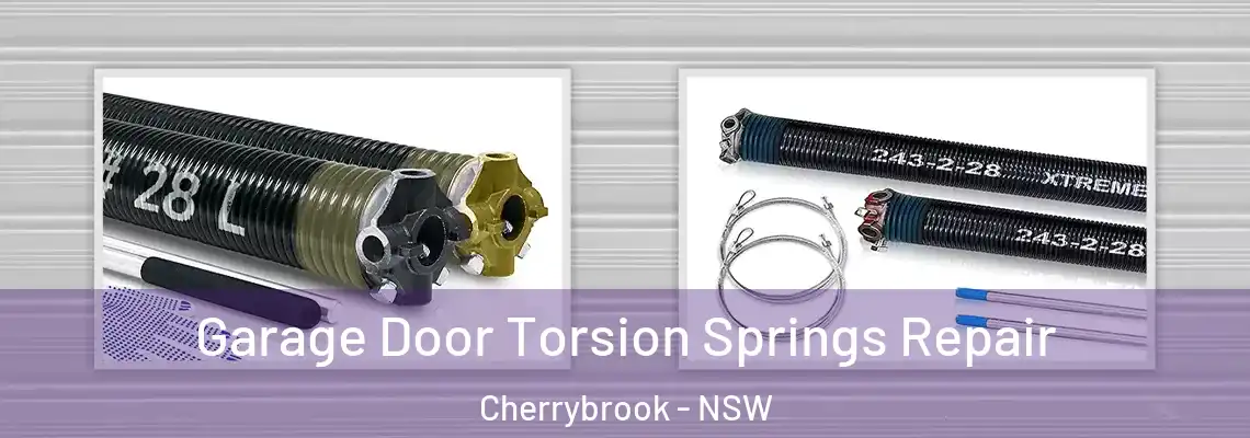 Garage Door Torsion Springs Repair Cherrybrook - NSW