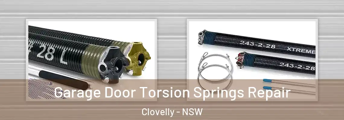  Garage Door Torsion Springs Repair Clovelly - NSW