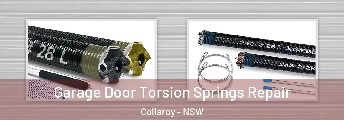 Garage Door Torsion Springs Repair Collaroy - NSW