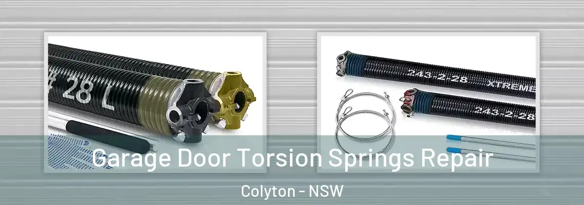 Garage Door Torsion Springs Repair Colyton - NSW