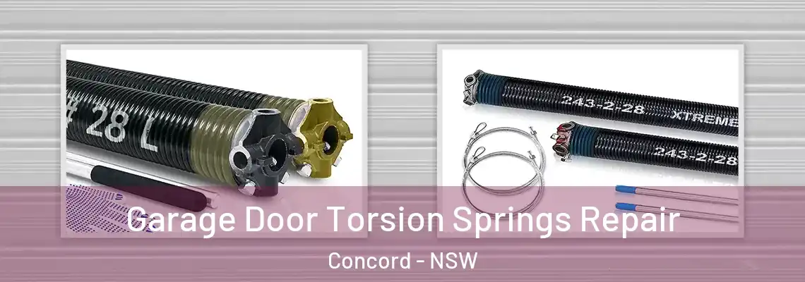 Garage Door Torsion Springs Repair Concord - NSW