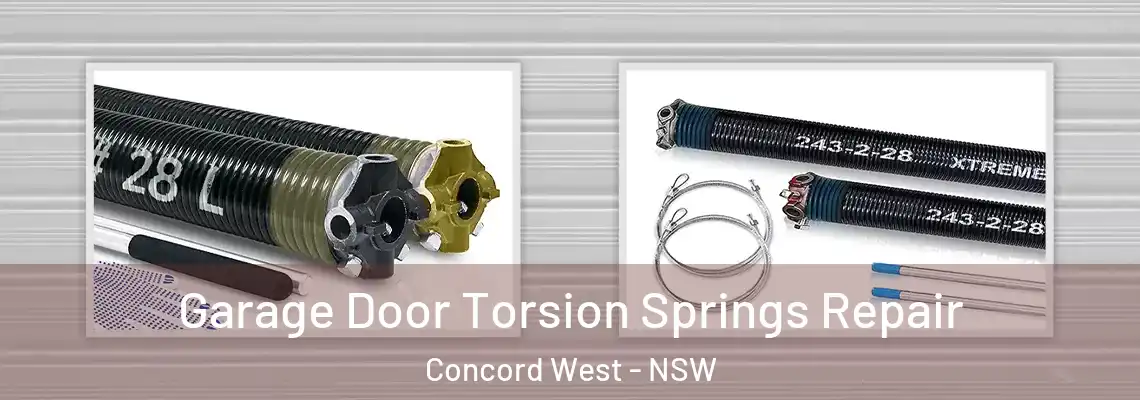Garage Door Torsion Springs Repair Concord West - NSW