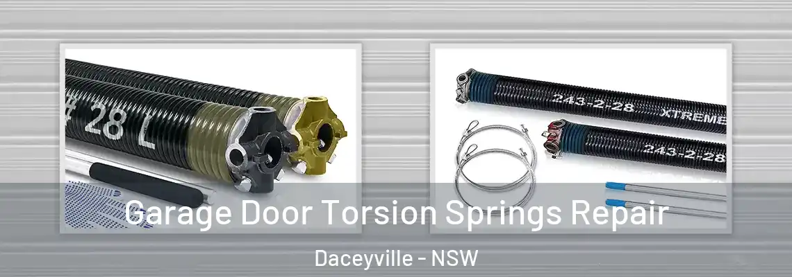 Garage Door Torsion Springs Repair Daceyville - NSW