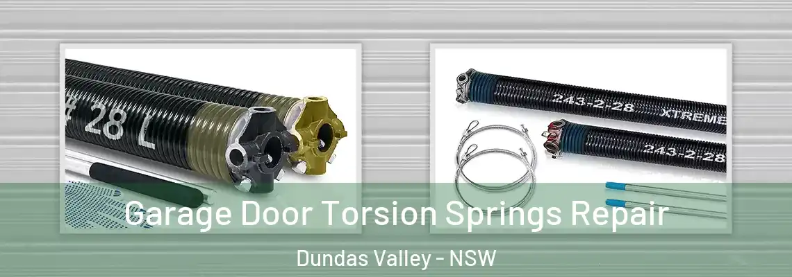 Garage Door Torsion Springs Repair Dundas Valley - NSW