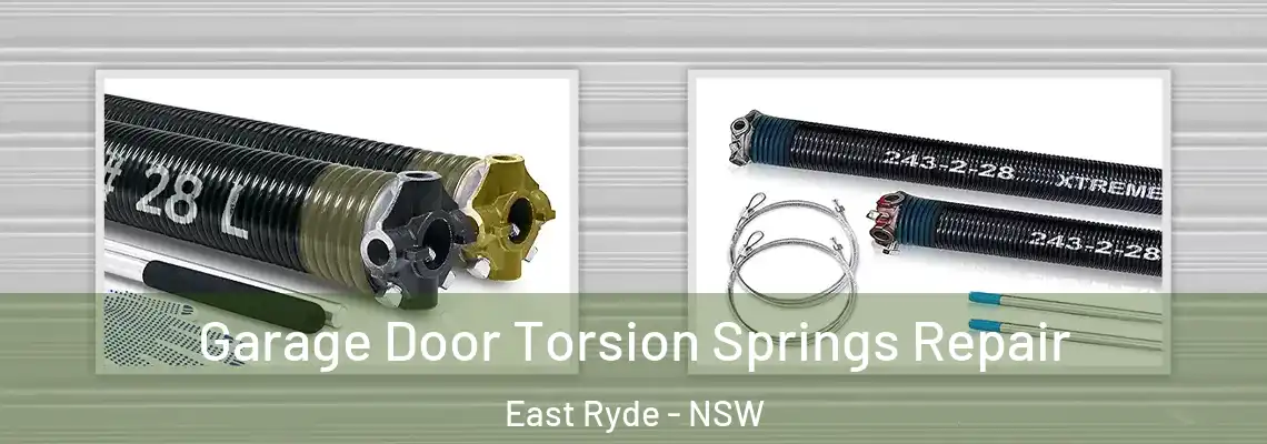 Garage Door Torsion Springs Repair East Ryde - NSW