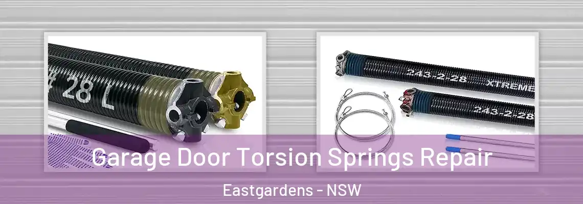 Garage Door Torsion Springs Repair Eastgardens - NSW