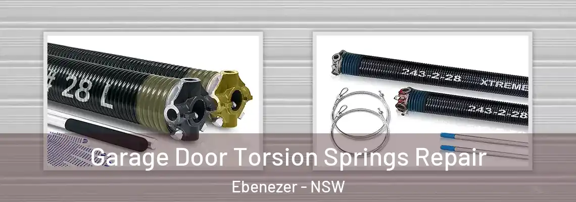  Garage Door Torsion Springs Repair Ebenezer - NSW