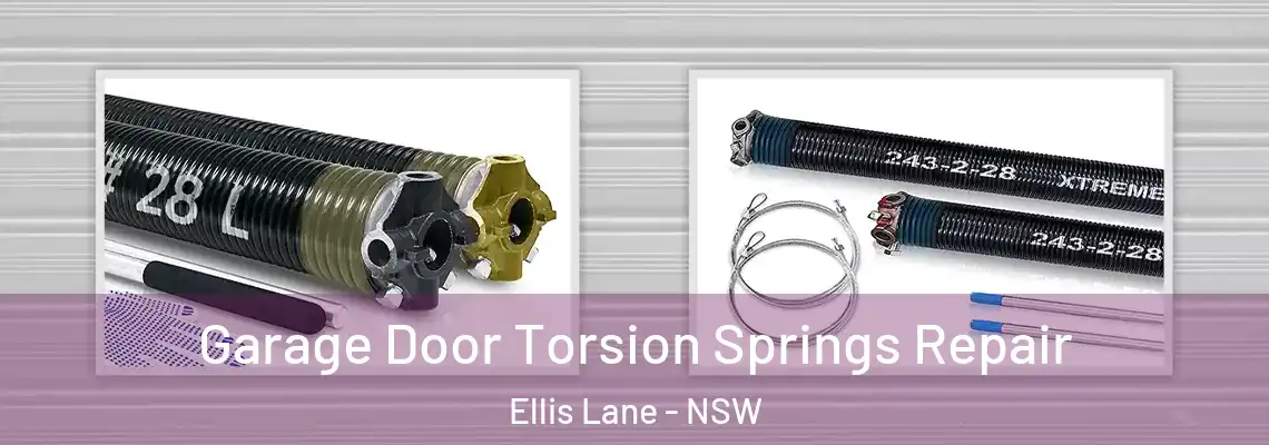 Garage Door Torsion Springs Repair Ellis Lane - NSW