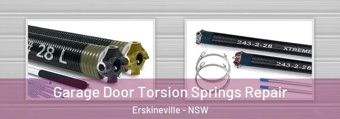 Garage Door Torsion Springs Repair Erskineville - NSW