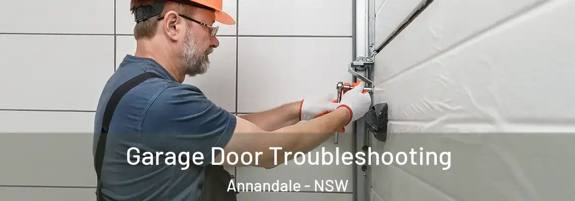 Garage Door Troubleshooting Annandale - NSW