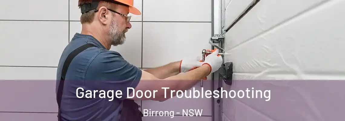 Garage Door Troubleshooting Birrong - NSW