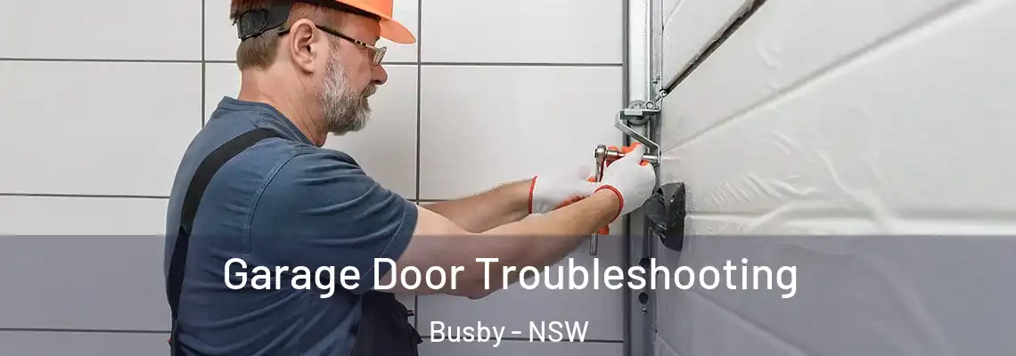 Garage Door Troubleshooting Busby - NSW
