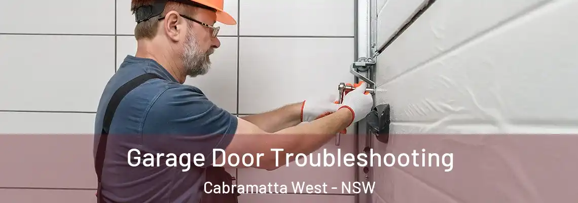 Garage Door Troubleshooting Cabramatta West - NSW