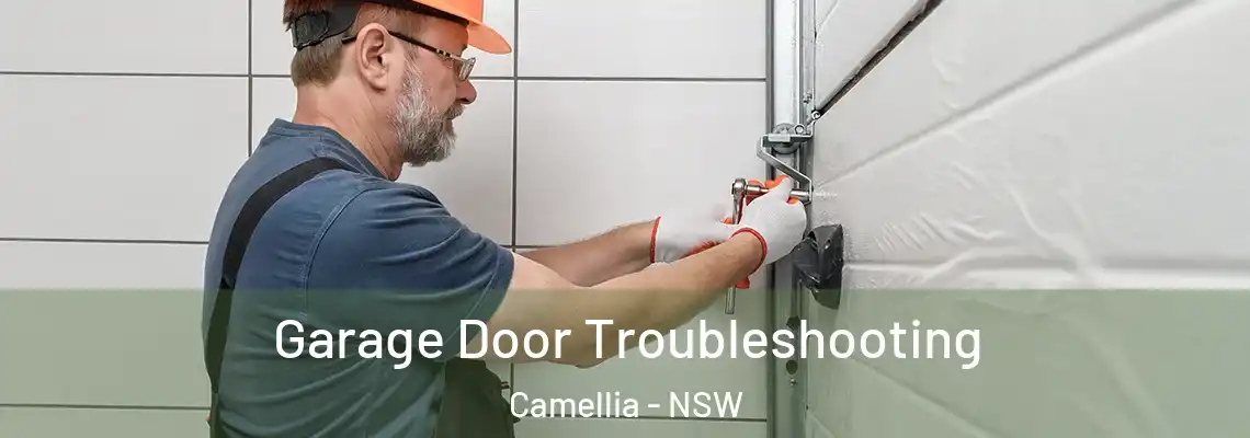 Garage Door Troubleshooting Camellia - NSW