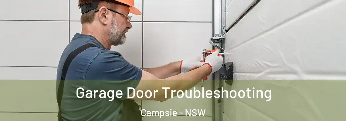 Garage Door Troubleshooting Campsie - NSW