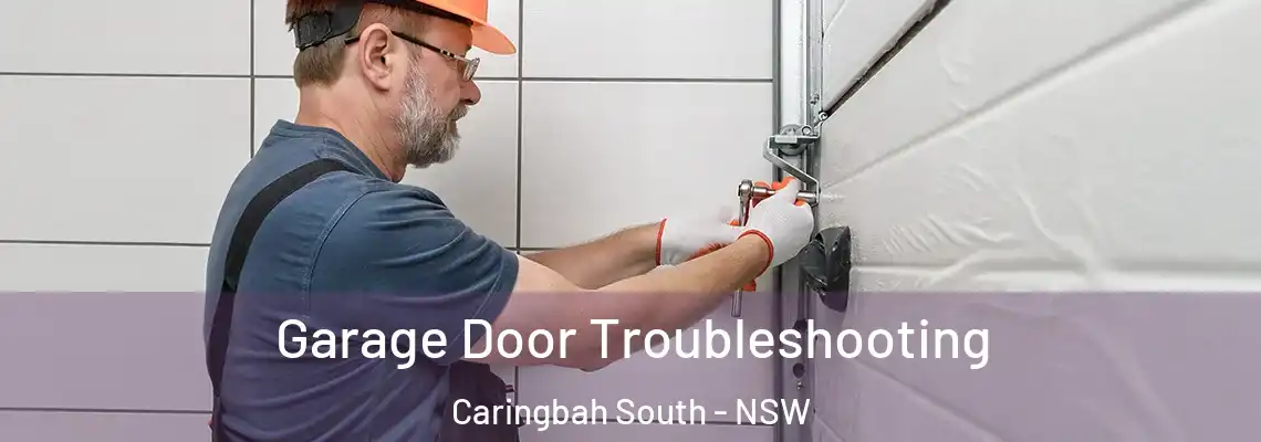 Garage Door Troubleshooting Caringbah South - NSW