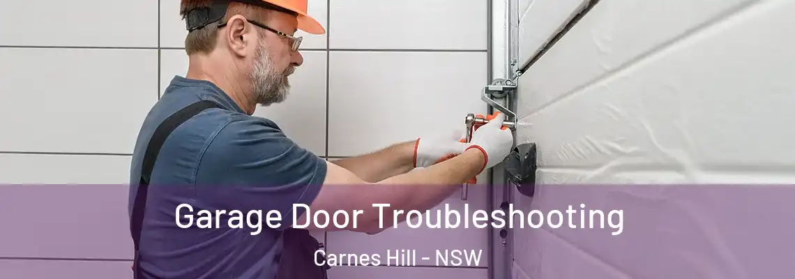 Garage Door Troubleshooting Carnes Hill - NSW