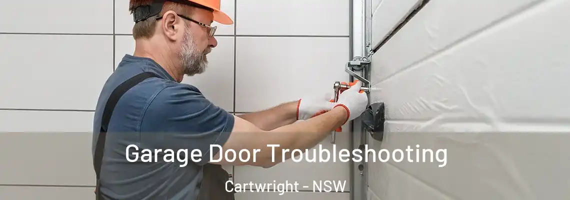 Garage Door Troubleshooting Cartwright - NSW