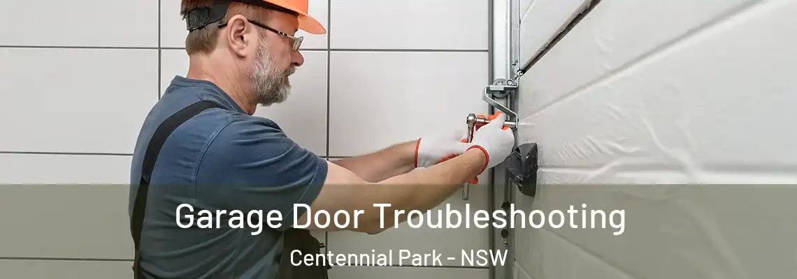 Garage Door Troubleshooting Centennial Park - NSW