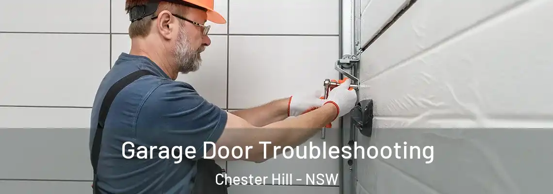 Garage Door Troubleshooting Chester Hill - NSW