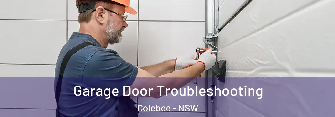 Garage Door Troubleshooting Colebee - NSW